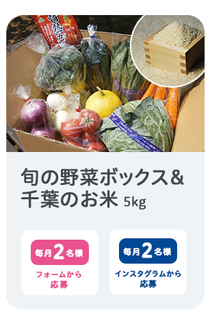 野菜ボックス