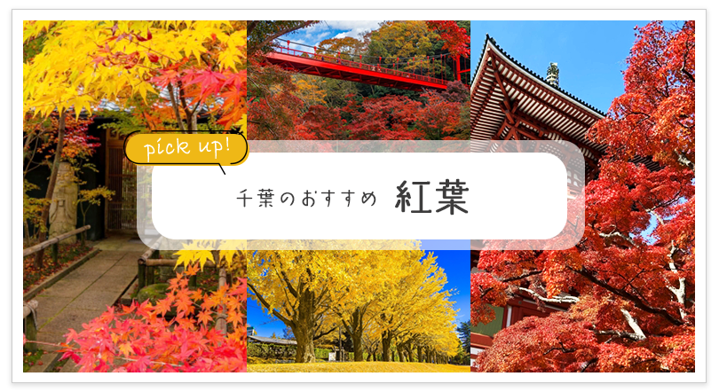 千葉のおすすめ 紅葉
